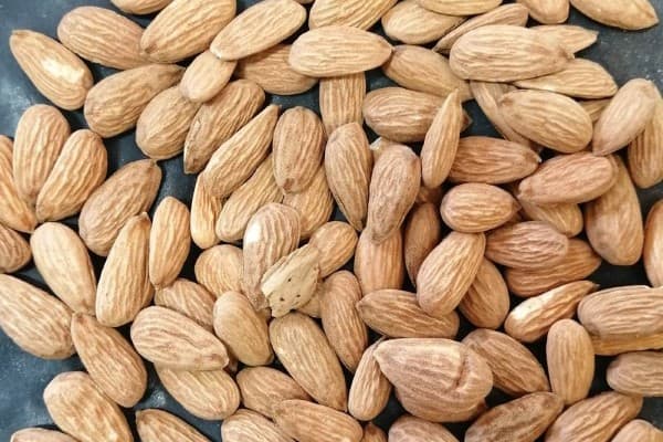 تصویر 1 از قیمت و خرید مغز بادام درختی شاهرودی + فروش ارزان